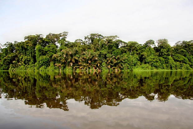 Brasil, España y Australia inician un proyecto de protección del Amazonas